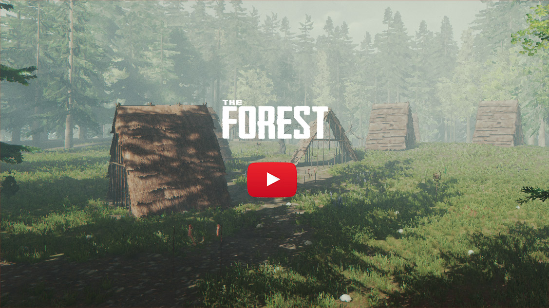 Endnight Games Reflects on Developing The Forest and Discusses What's Next  : r/pcgaming