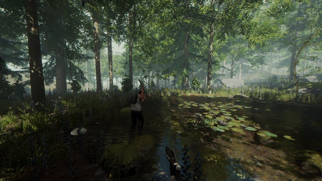 the forest video game